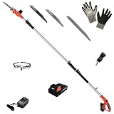 【安心のサービス特典３種(３本)切れるブレード刃入り】 YARD FORCE 24V コードレス 3ｍ 高枝電動のこぎり ライト LS C21P-JP 24cm径太高枝-15cm径竹高枝切断・ ポール レシプロソー ＋「 日本製 ブレード刃3種3本・保護メガネ・耐切創手袋(ヨーロッパCE規格レベルE 耐切創性能) 付」 ヤードフォース YARDFORCE 【Prostar/Pack】