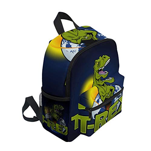 Dinosaur The Planet Toddler Backpack for Preschool Kids Boy Girls Age 3-73