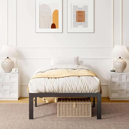 Recopilación de Box Individual para comprar hoy. 11 Imagen adicional