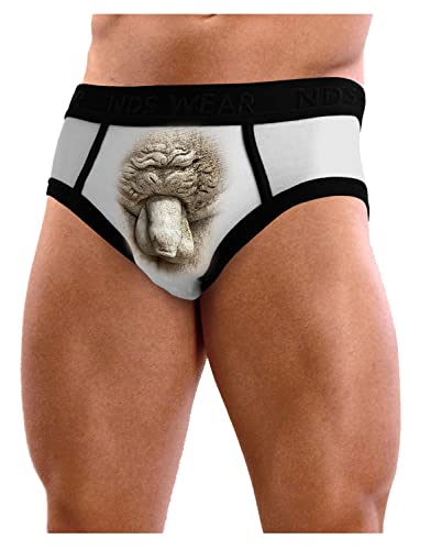 Michelangelo Sculpture of David's Mens Underwear Brief2