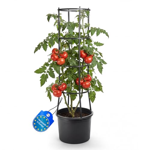BigDean Tomatentopf mit Rankhilfe XL Wasserspeicher und Selbstbewässerung Pflanzkübel für Balkon und Terrasse Rankgitter für Tomaten und Kletterpflanzen