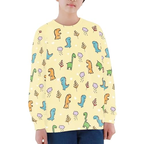 Boy Sweatshirts Cartoon Novelty Round Neck Pullover Dinosaur Graphic Tops Clothing Shirts 6-16T3