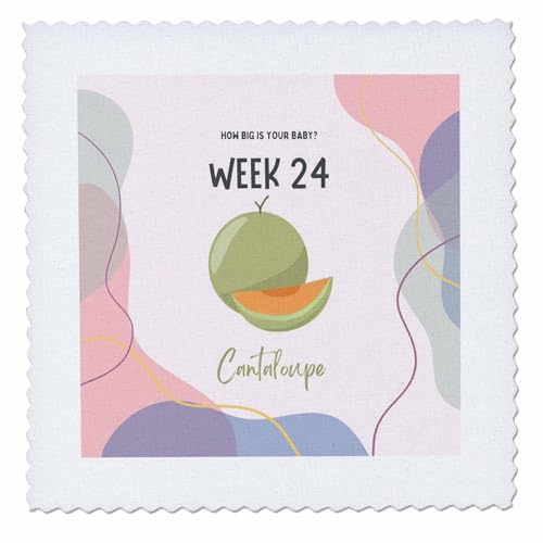 3dRose Image of Cantaloupe How Big is Your Baby Week 24 - Quilt Squares (qs-388476-9)