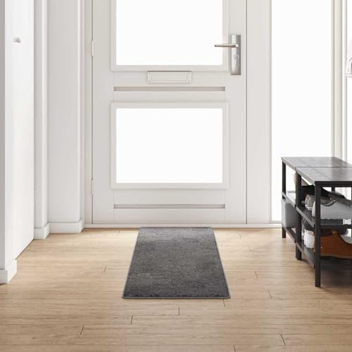 Gecheer Pasillera de Polipropileno Antideslizante - Diseño Moderno y Duradero para Interiores Modelo YHSQY-42011386ES
