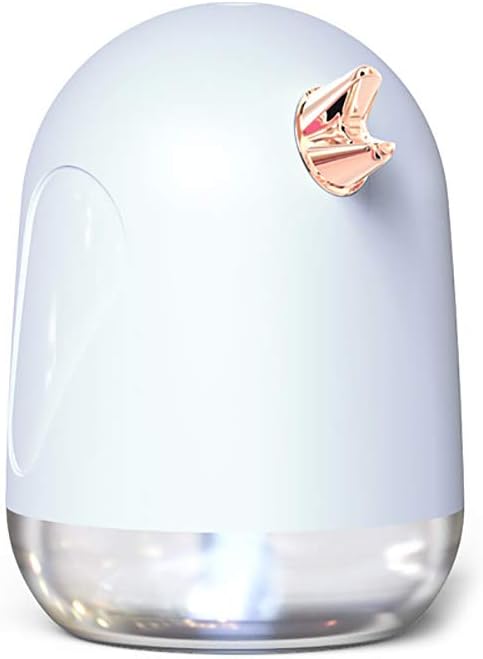 Facial Steamer Nano Ionic Cold Mist Sproeier USB Oplaadbare Spuit Schoonheidsinstrument, Wit