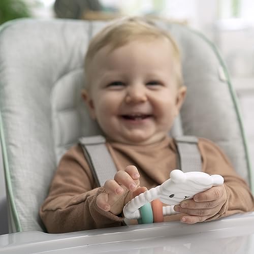 Image of Ingenuity Teethers