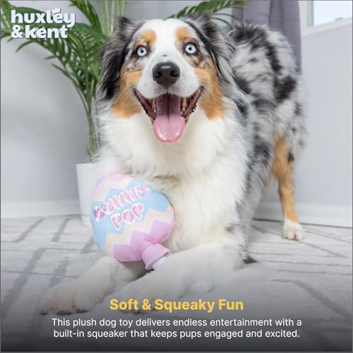 Huxley & Kent Juguete Mordible Sonoro para Perros Grande miniatura 6