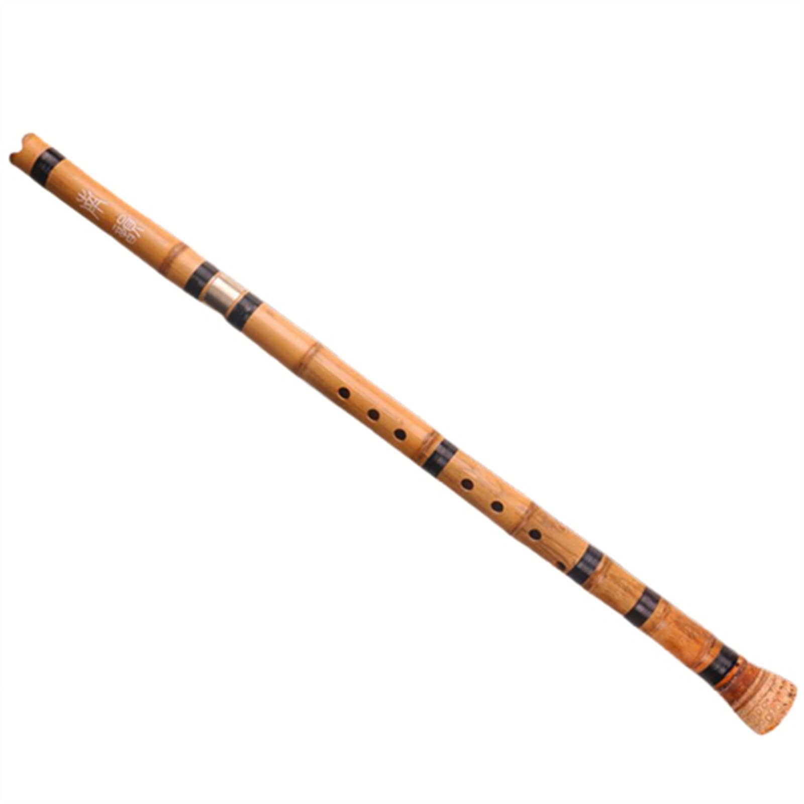 竹バンブー 楽天市場】【P5倍12/25 13-15時&最大1万円ｸｰﾎﾟﾝ12/19-25】 黒竹 観葉