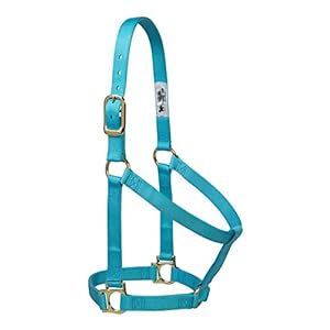 Weaver Equine Nylon Horse Halter, Comfort Double-Ply Webbing, Basic Non Adjustable Halters for Horses, Equine Tack,Average Size, Turquoise