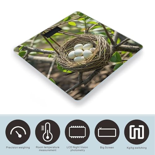 Báscula de baño digital Magical Bird Nest de vidrio templado miniatura 3