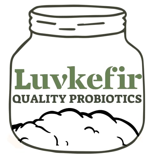 Miniatura 3 de Iniciador de granos de kéfir de leche, Bulgaros de Leche, Pajaritos de Leche, granos de kéfir vivos, leche de kéfir casera, granos de kéfir