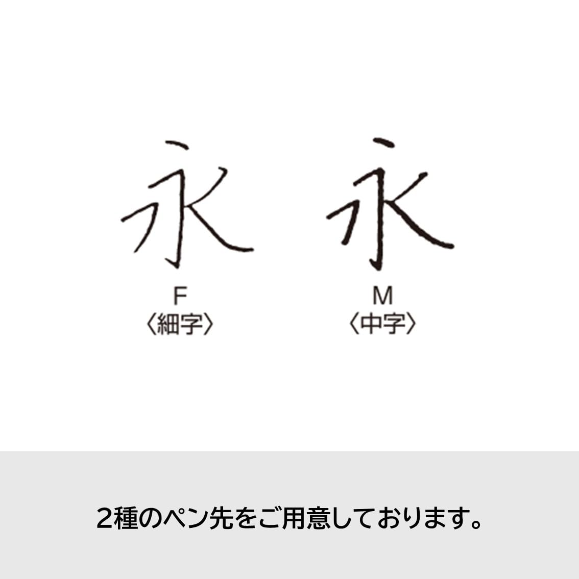 Amazon | PILOT 万年筆 キャップレス ノック式 特殊合金ペン F(細字