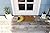 Avera Products Welcome Sunflower Natural Coir Doormat Anti-Slip Rubber Back | 17" x 29" Perfect for Outdoors | Fun Front Doormat | Colorful and Funny Welcoming