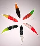 Boroda Baits