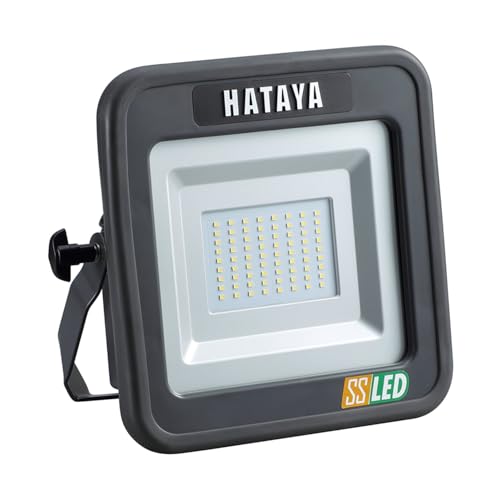 n^ (HATAYA) [dLED 邳1900[ LWK-SS