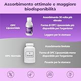 Zoom IMG-2 bandini opc liposomiale liquido 250ml Zoom IMG-2 bandini opc liposomiale liquido 250ml