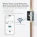 Frizzlife LP365 1.25-Inch Smart Water Monitor and Automatic Shutoff - 0.01GPM Ultrasonic Micro Leak Detection, APP Wi-Fi Remote Control, Real-Time Flow/Temp Monitoring, for 1-1/4-Inch Diameter Pipe