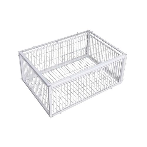 Piège à Pigeons Portable Cage en Fer à Haute Résistance avec Peinture Antirouille Facile à Assembler - Idéal pour les Pigeons et les Oiseaux
