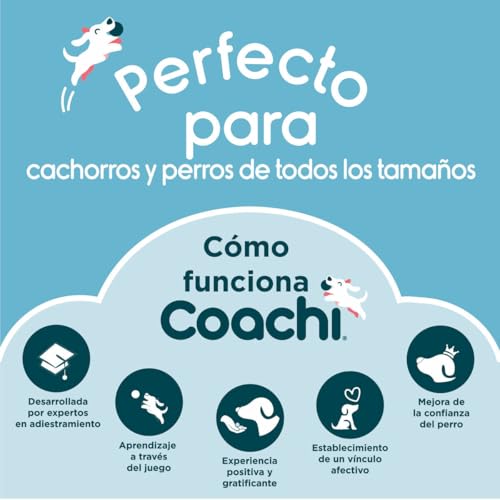 Coachi Training Dumbbell, schwimmt, weites Werfen, klassisches Apportierspielzeug, Jagdhund- und Welpentraining. Hundezubehör, sehr robust und beständig, für mittelgroße Hunde und Welpen