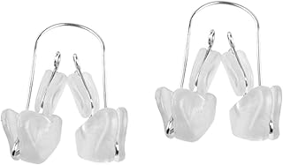 FOMIYES 2 Pçs Nariz Ponte Alisador Nariz Clipe De Levantamento Nariz Ponte Clipe Nariz Para Cima Clipe Nariz Moldar Clipe Nariz