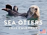 Sea Otter Calendar 2023 Monthly Wall Hanging Calendars Funny Cute Baby Sea Ocean Animal Large...