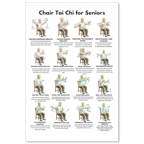 Tai Chi Chair Workout Chart Canvas Wall Art Seated Exercises for Beginners and Seniors Poster Print Living Room Bedroom Home Gym Decor 12x18 Inch Unframed Balance & Gentle Home Workout Chart