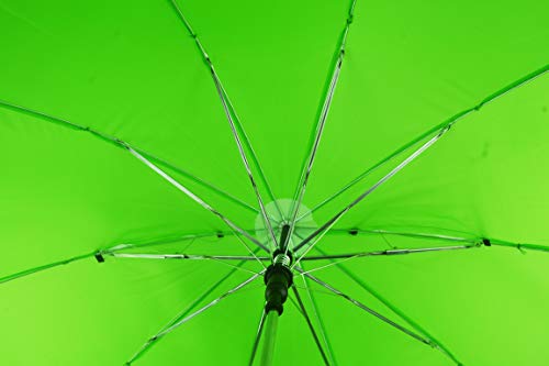 Image of Frog Umbrella for Kids Boys Child Cute Outdoor Stand Umbrellas (Frog)