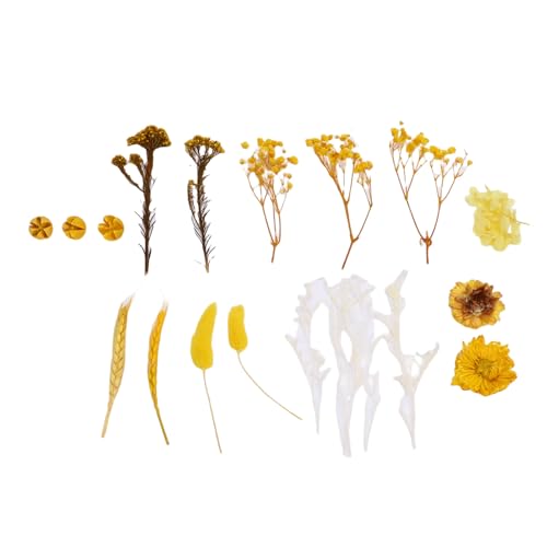 Paquete de ramos de flores secas para manualidades miniatura 1