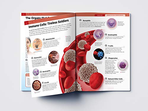 Image of Human Body - Immune System And Common Diseases: Knowledge Encyclopedia For Children