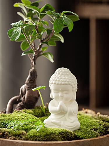 Estatua Baby Buddha de porcelana blanca 4 pulg miniatura 5