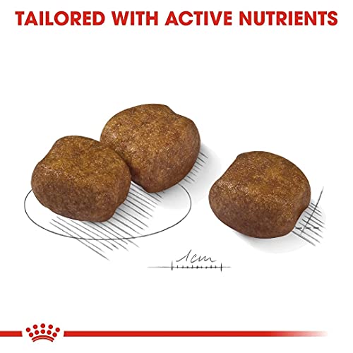 ROYAL CANIN Maxi Dental Care - 9 kg