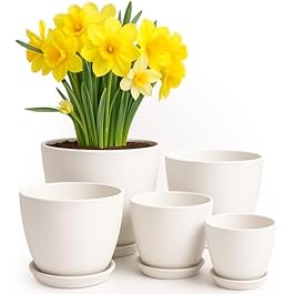 Utopia Home – Plant Pots Indoor with Drainage – 7/6.6/6/5.3/4.8 Inches Garden Flower Pots for Indoor Planter – 5 Pack White Plastic Planters – Ideal for Stocking Stuffers or Room, Office Home Decor