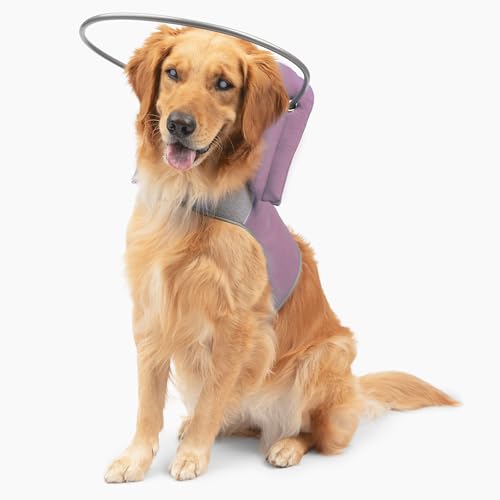 Muffins Halo The Original Blind Dog Halo | Harness & Bumper Collar Accessory for Safe Navigation & Confidence Pink Size 5