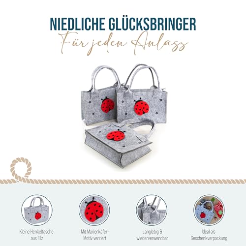 Filztasche mit Marienkäfer: Kleine Filz-Geschenktasche mit Henkel zum Befüllen, Henkeltasche Geschenk, Glücksbringer & Ostergeschenke, Geschenktüte Erwachsene & Kinder, Tragetasche, 21 x 14 x 6 cm