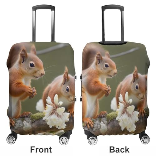 Suitcase Covers for Luggage Washable Luggage Cover Squirrels Luggages Wheel Covers Elastic Travel Carry On Suitcase Cover Travel Luggages Protector Sleeve Fit 29-32 Inch S3