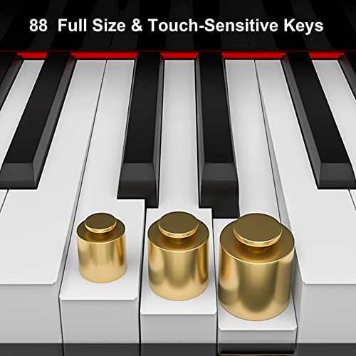 Piano numérique 88 touches clavier lesté piano haut-parleurs intégrés piano électrique pleine grandeur for adultes débutants avec triple pédale et connexion MIDI - Les Beatles, Paul McCartney, John Lennon, RIngo Starr, George Harrison Piano numérique 88 touches clavier lesté piano haut-parleurs intégrés piano électrique pleine grandeur for adultes débutants avec triple pédale et connexion MIDI – Image 3