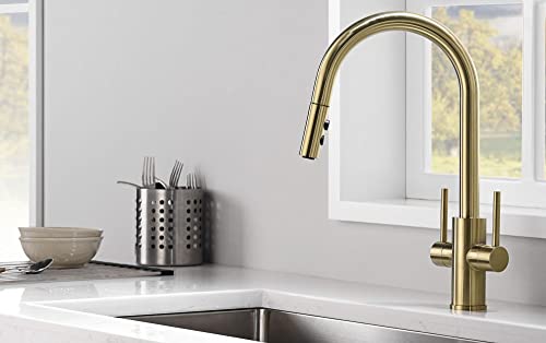 Luna&Muni (Satin Gold) Kitchen Faucet Pull Down Sprayer Pull Down, Kitchen Sink Faucet Pulldown, Kitchen Faucet Two Handle, Pull-Down Kitchen Faucet