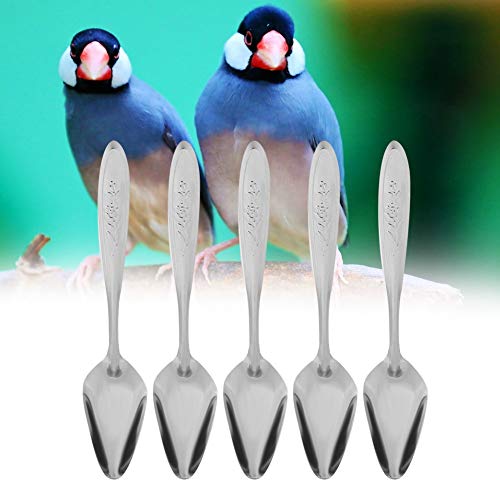 YIUIRUOI 6 Pack Stainless Steel Pet Feeding Spoons - Parrot & Chick Bird Feeder Tool, Handy For Liquid Meds