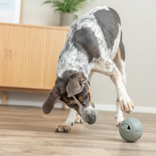 TRIXIE Snackball – Snackspielzeug für Hunde mit verstellbarer Öffnung – Beschäftigung & Belohnung – Kunststoff – ø 7 cm – 3492