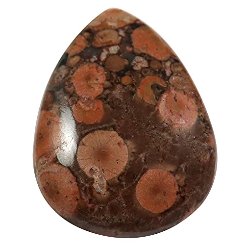 Chbh|s[WXp[yAVR[XWFXg[ 19.55Jbg Om40-B09BNN44TW