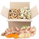 2 Lbs US Grown (Not from FIJI!) Organic Turmeric and Ginger Root Blend Box (1 lb US Grown Turmeric FRESH + 1 lb Peruvian Ginger FRESH) - USA's Finest Wellness Ingredients Best for Cooking fresh turmeric and ginger root