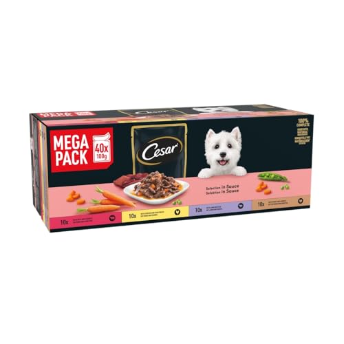 Cesar Selection in Sauce Premium natvoer 40 x 100 g