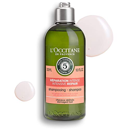 Los 5 Mejores Modelos De Shampoo Para Jacuzzi En Walmart