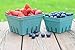 Kitchens Green Molded Pulp Fiber Berry/Produce Vented 1 Pint Basket 40 Pieces