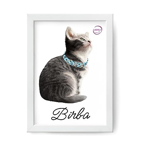 Quadretto ritratto di gatto varie razze regalo per amanti gatti ricordo commemorazione in memoria personalizzato con nome gattini mici micetti