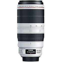 Objetivo 600 Mm Para Canon Canon EF - Objetivo para Canon (distancia focal 100-400mm, apertura f/4.5-5.6L IS II USM), negro y blanco