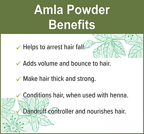 Image of Park Daniel Premium Amla Powder - For Hair Conditioner Combo Pack 2 bottles of 100 gms(200 gms)