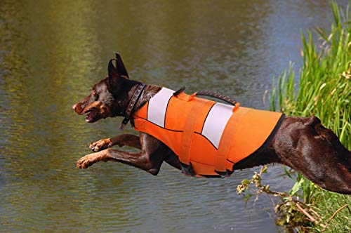 CITÉTOILE Giubbotti di Salvataggio per Cani