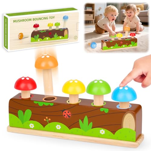 Pop Up Montessori Wooden Toy Age 1-3 Gifts for 1-2 Year Old Boys Girls