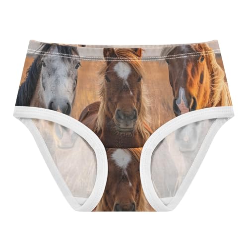 Toddler Underwear Floral 2t Cotton Panties for Girl Durable Briefs Underpants Cute Horses Grassland